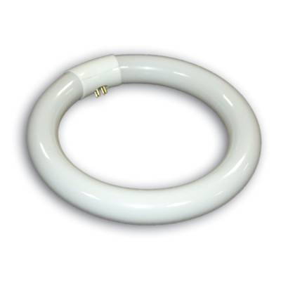 FLUORECENTE CIRCULAR 22-220