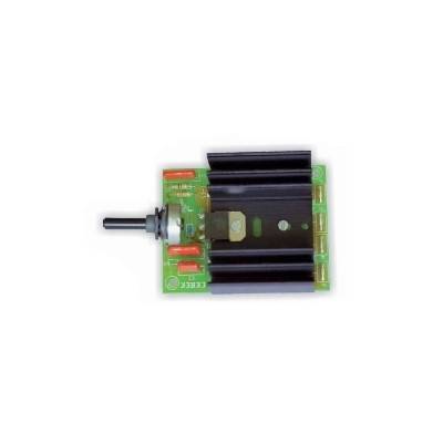 REGULADOR CEBEK IOI17 4000W