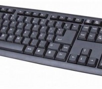 INFORMÁTICA PERIFÉRICOS Teclados y Ratones